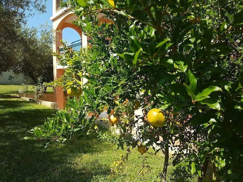 Aloni Hotel Pefkochori